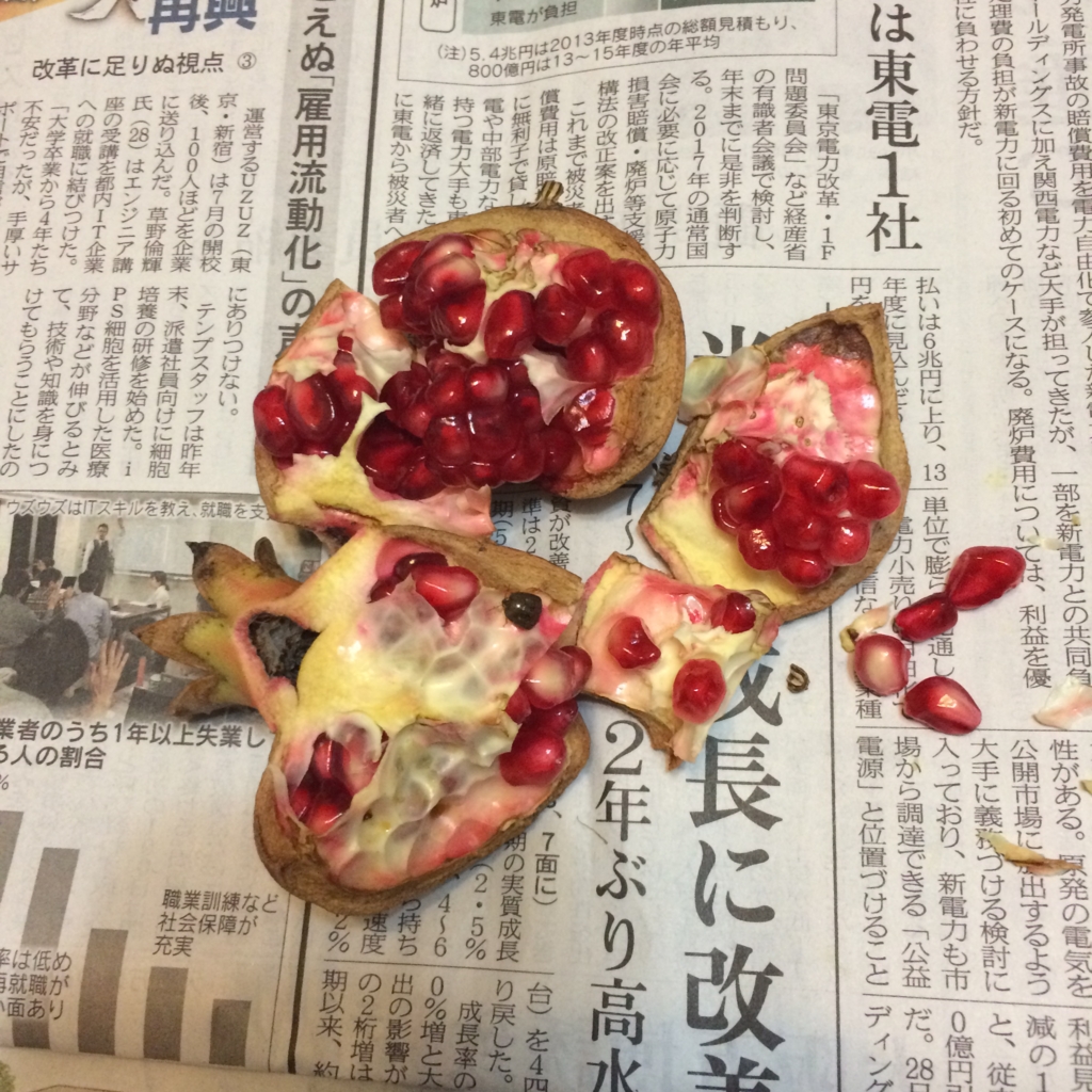 f:id:hanzo65:20161129192923j:plain