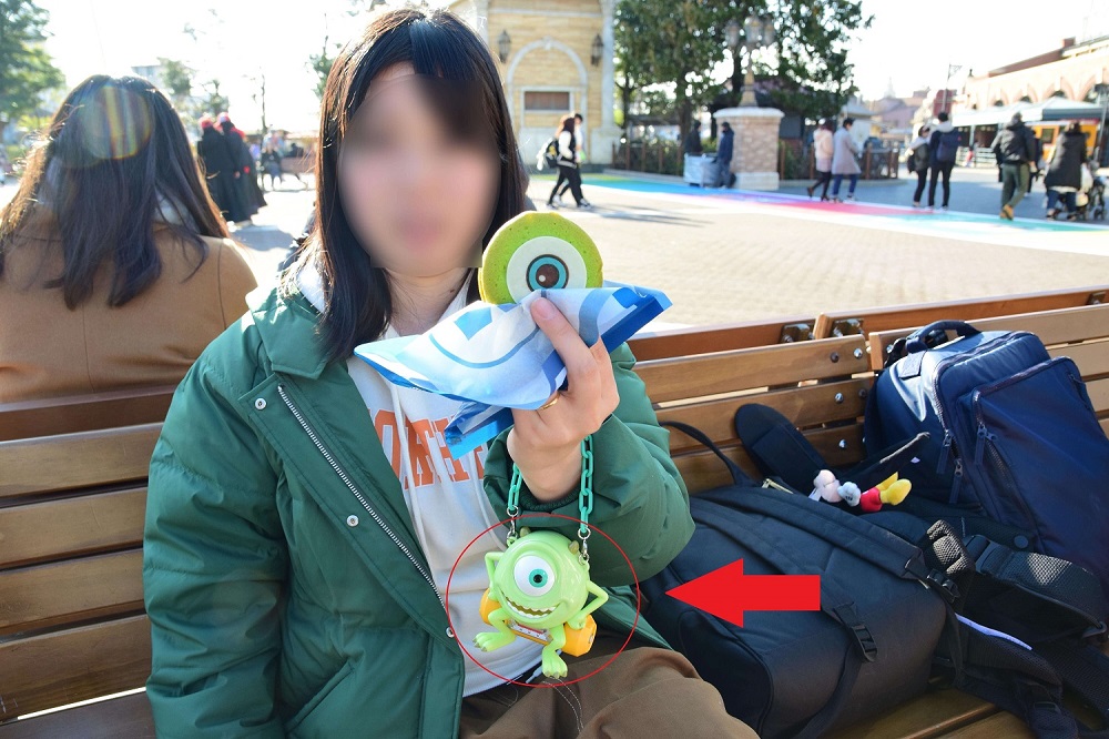 f:id:hanzounomon:20190129232130j:plain