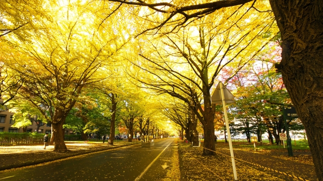 おしゃれなジャズピアノサックス フリー素材