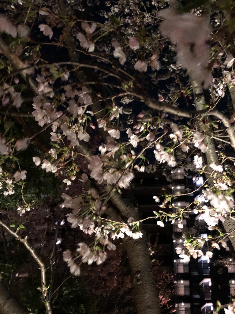 f:id:haonchang:20200326013231j:image f:id:haonchang:20200326013231j:image