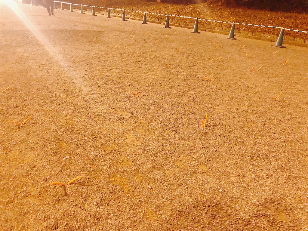 f:id:haonchang:20220102212931j:image