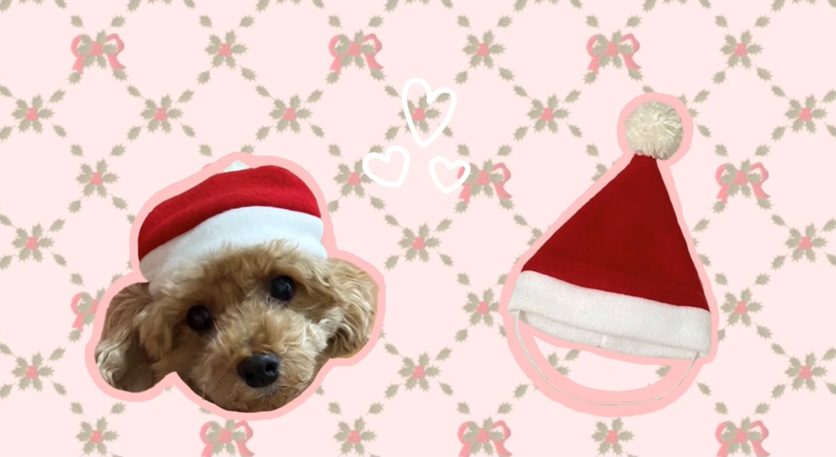 f:id:hapihappi:20220317150638p:plain