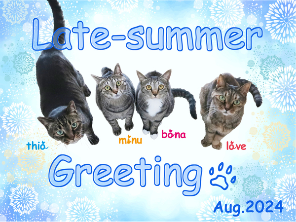 [ねこ][猫][ネコ][キジトラ][ソックス猫][虹の橋][多頭飼い][里親募集][アニメ][カレンダー][お正月]【猫写真】Late-Summer Greeting!