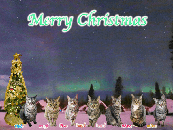 [ねこ][多頭飼][里親募集][クリスマス][オーロラ][フィンランド][カレンダー]【猫アニメ】はっぴぃ♪クリスマスにゃ！