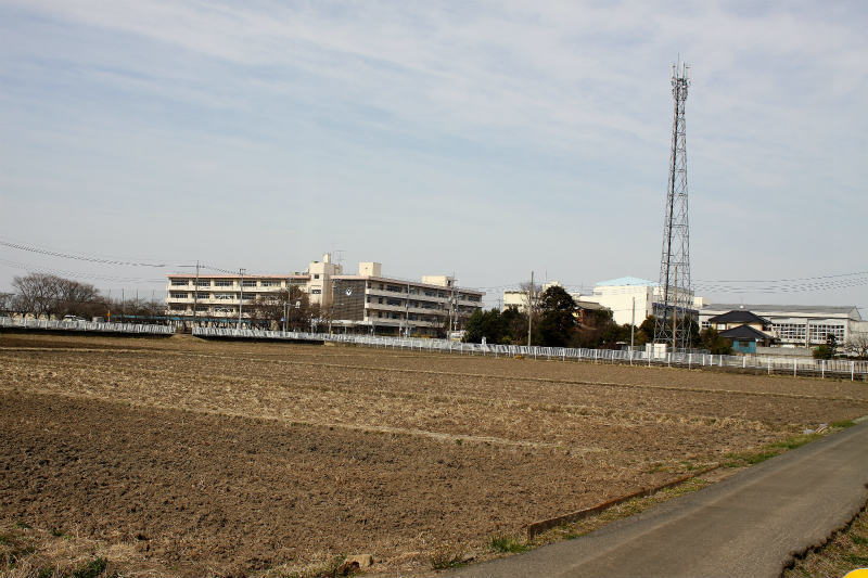 f:id:hapim:20170329081918j:plain f:id:hapim:20170329081918j:plain