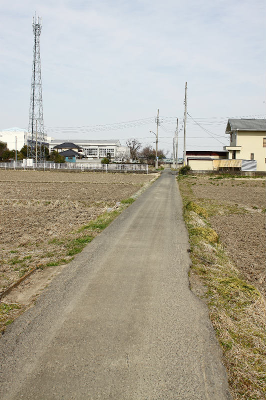 f:id:hapim:20170329081928j:plain f:id:hapim:20170329081928j:plain