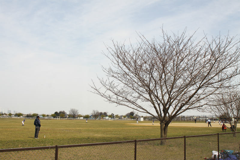 f:id:hapim:20170329082024j:plain f:id:hapim:20170329082024j:plain