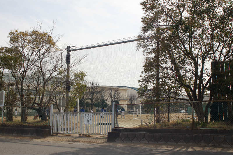 f:id:hapim:20170329082227j:plain f:id:hapim:20170329082227j:plain