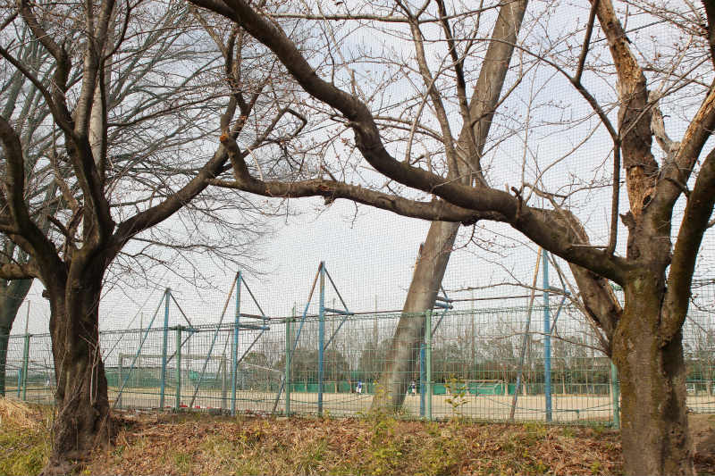 f:id:hapim:20170329082236j:plain f:id:hapim:20170329082236j:plain