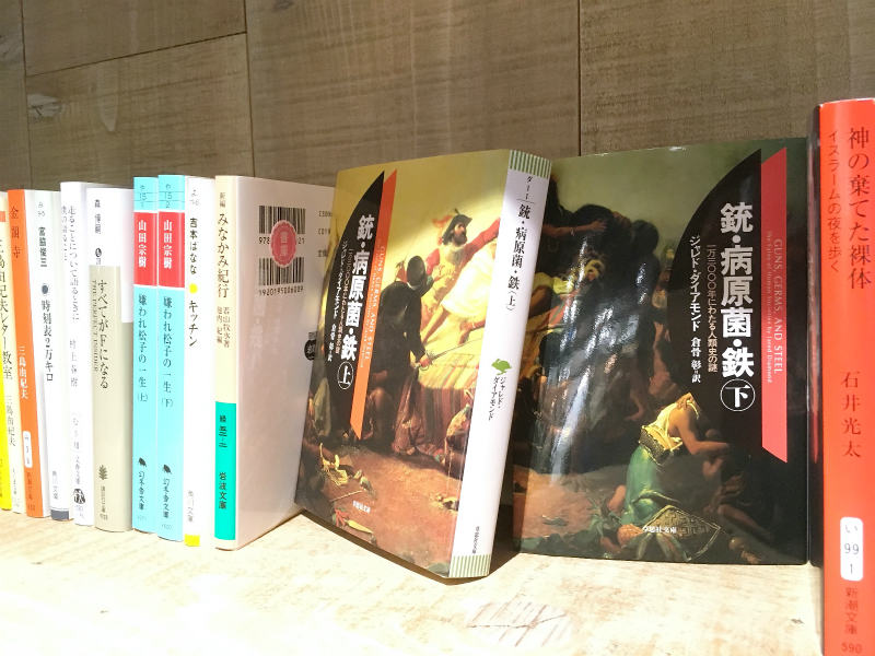 f:id:hapim:20170706145440j:plain