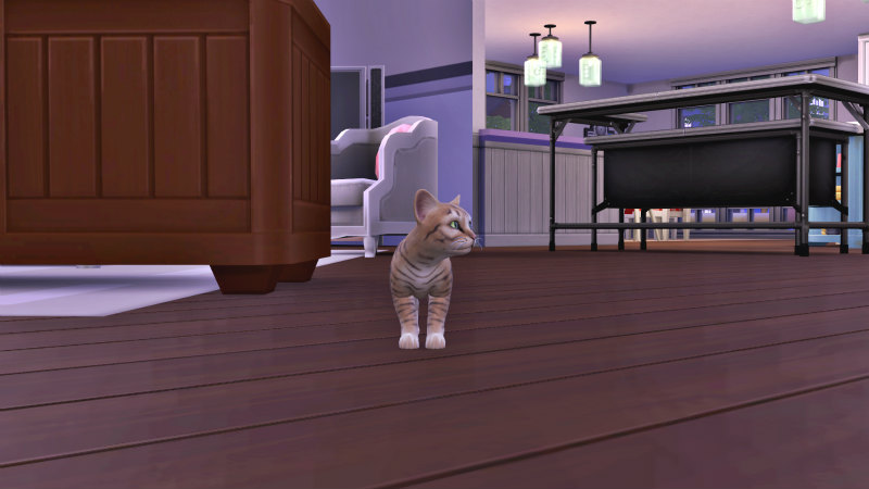 The Sims 4 Cats Dogs で猫を家族に迎えました Love Sims Life The Sims 4 Cats Dogs で猫を家族に迎えました Love Sims Life