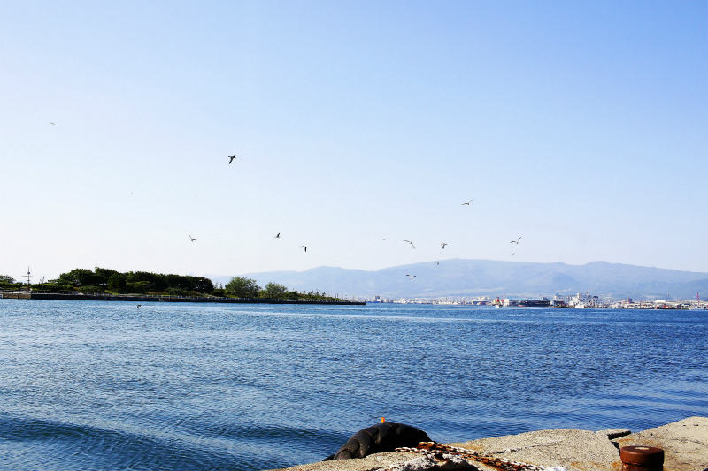 f:id:hapim:20180221233214j:plain f:id:hapim:20180221233214j:plain