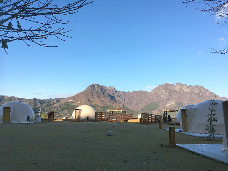 f:id:hapim:20190302104028j:plain