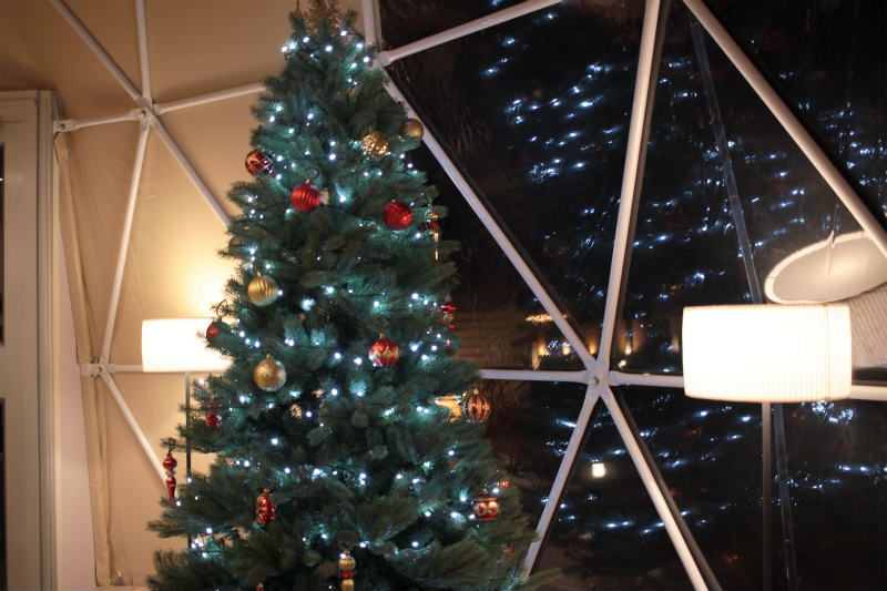 f:id:hapim:20190302104345j:plain