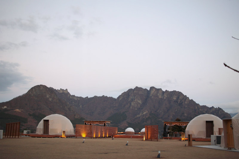 f:id:hapim:20190302104519j:plain