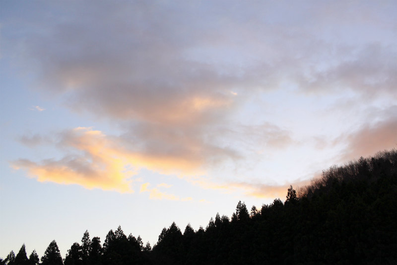 f:id:hapim:20190302104555j:plain