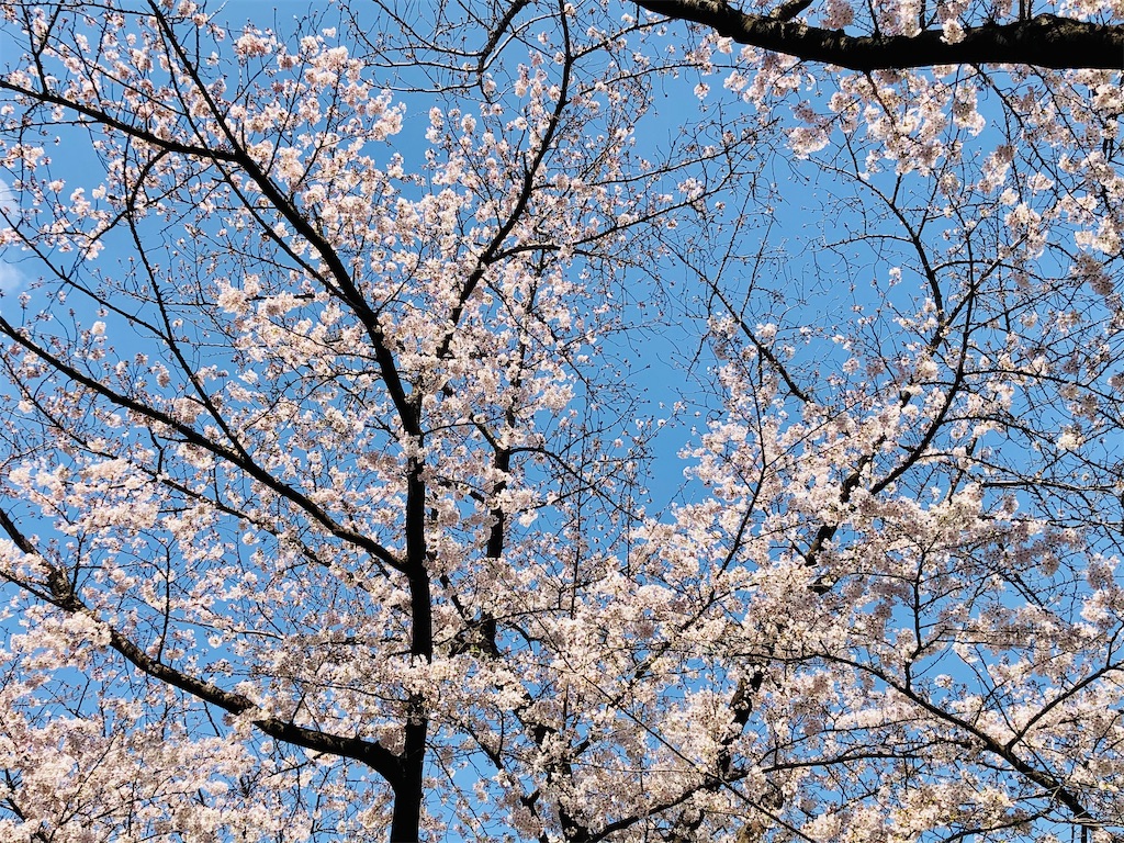 f:id:hapimi:20210323132224j:image