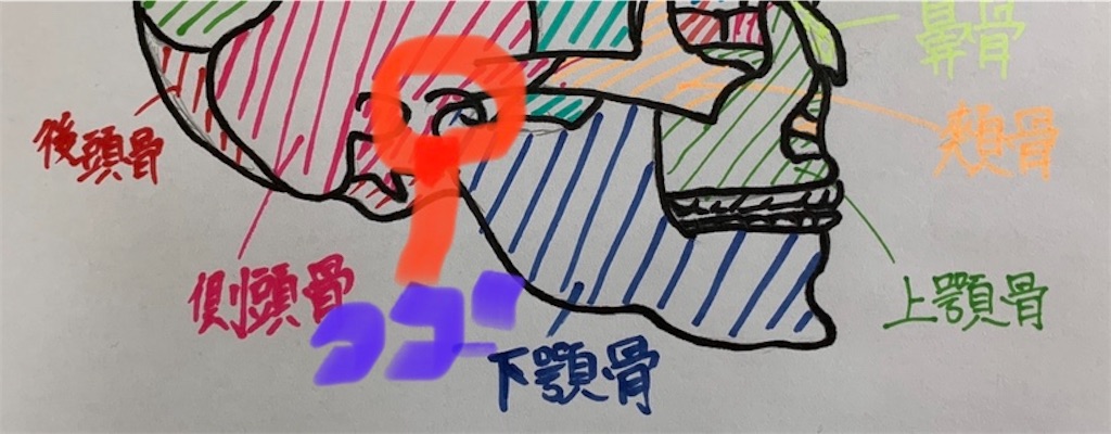 f:id:hapinesacp:20200114143701j:image