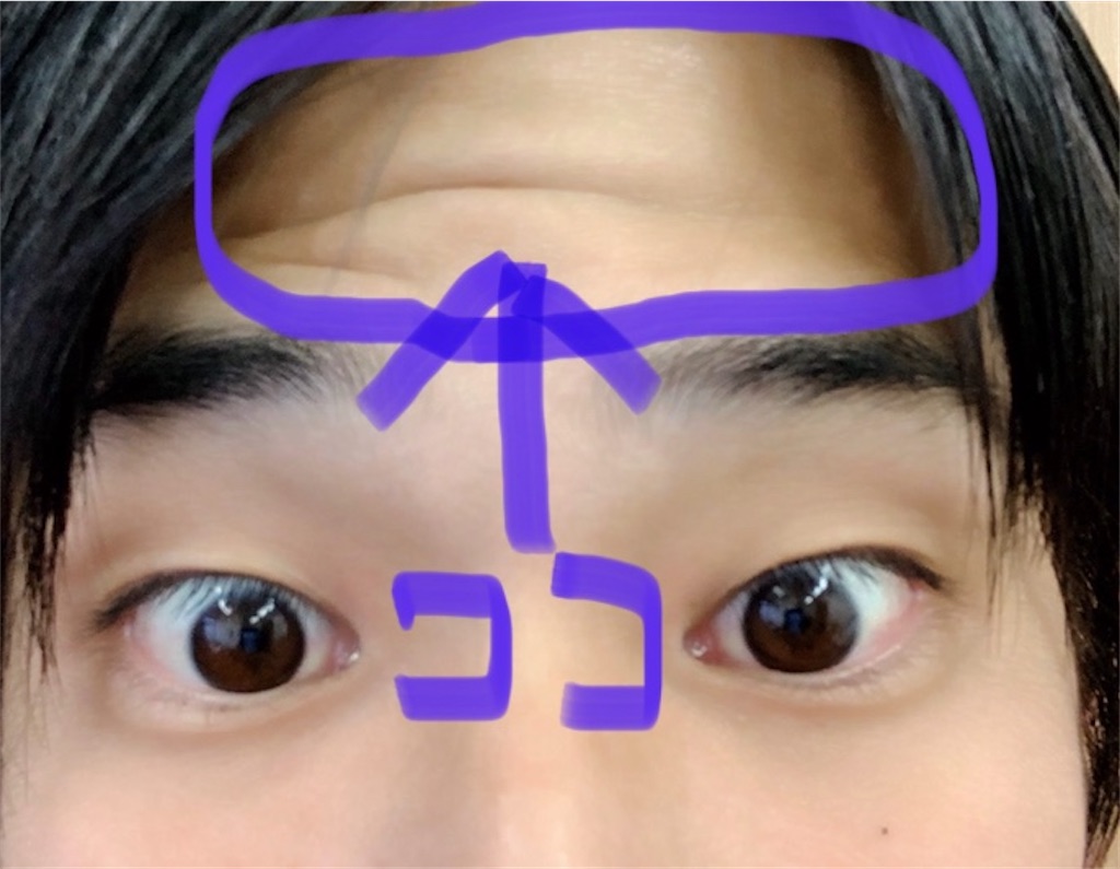 f:id:hapinesacp:20200120180049j:image