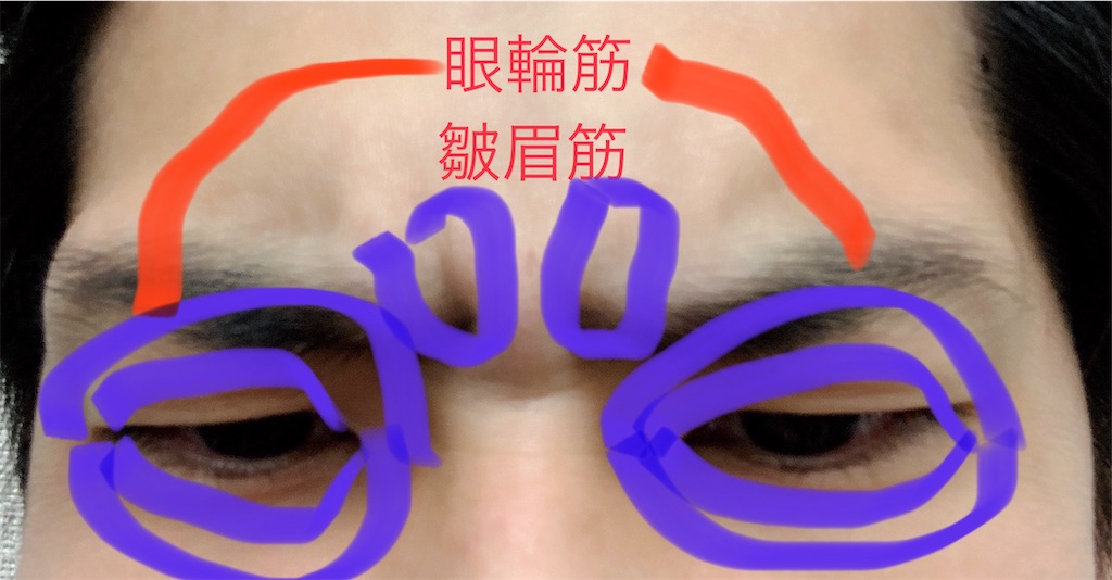 f:id:hapinesacp:20200120181032j:image