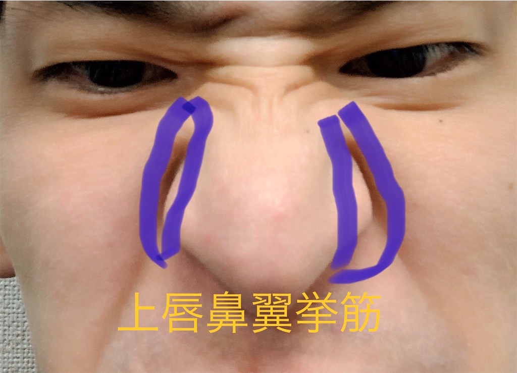 f:id:hapinesacp:20200120182148j:image