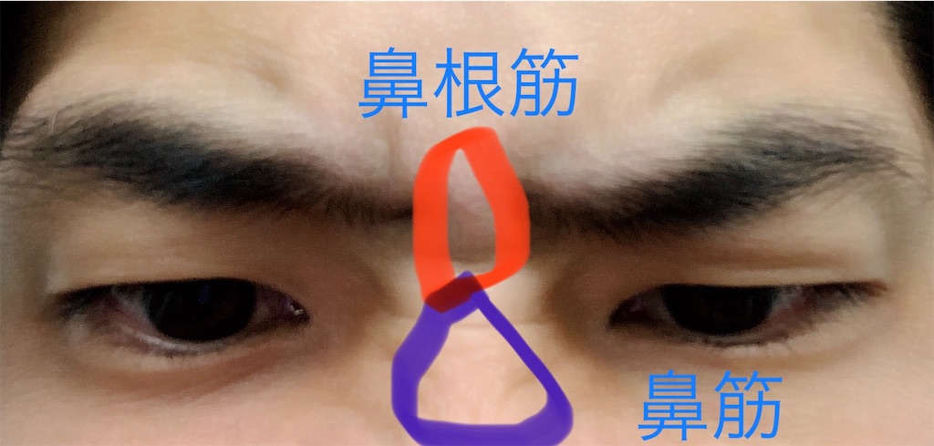 f:id:hapinesacp:20200120182833j:image