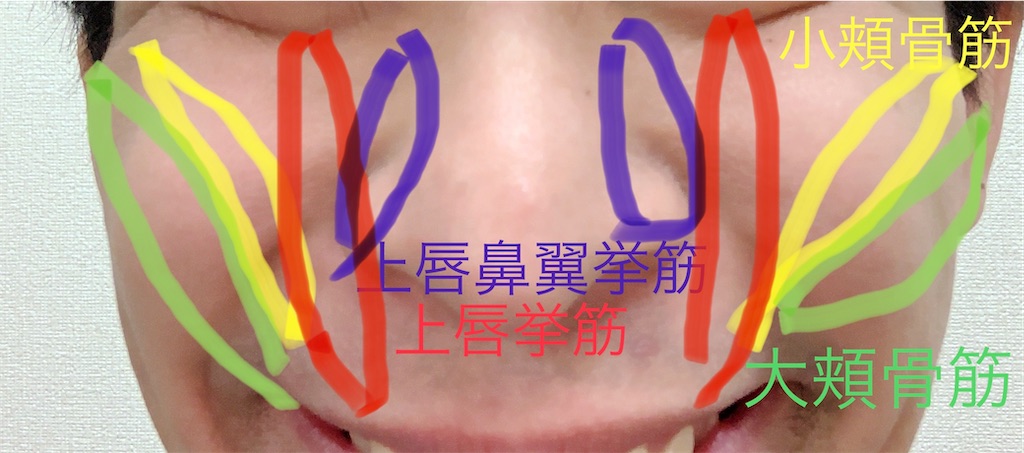 f:id:hapinesacp:20200121151844j:image