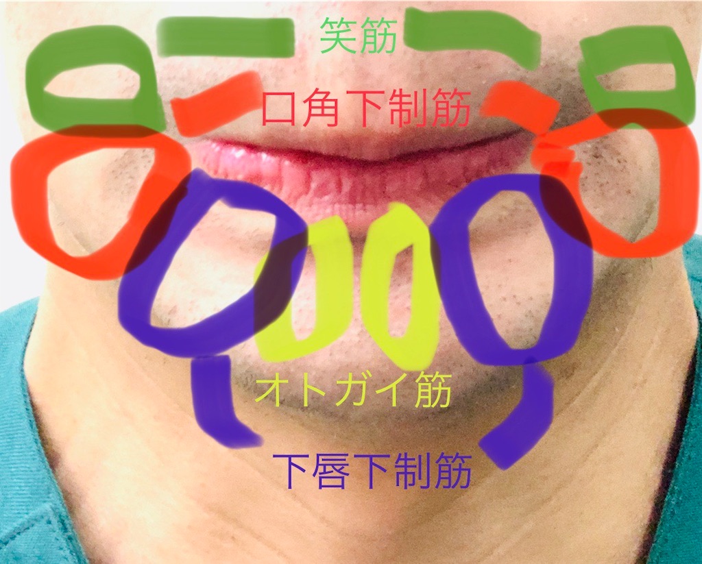 f:id:hapinesacp:20200121154030j:image