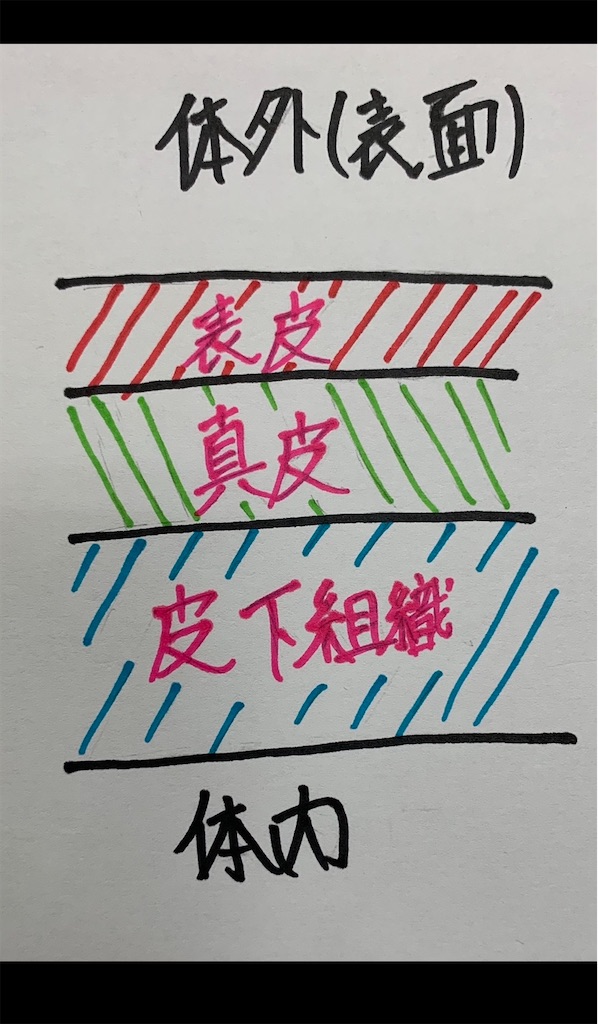 f:id:hapinesacp:20200227183748j:image