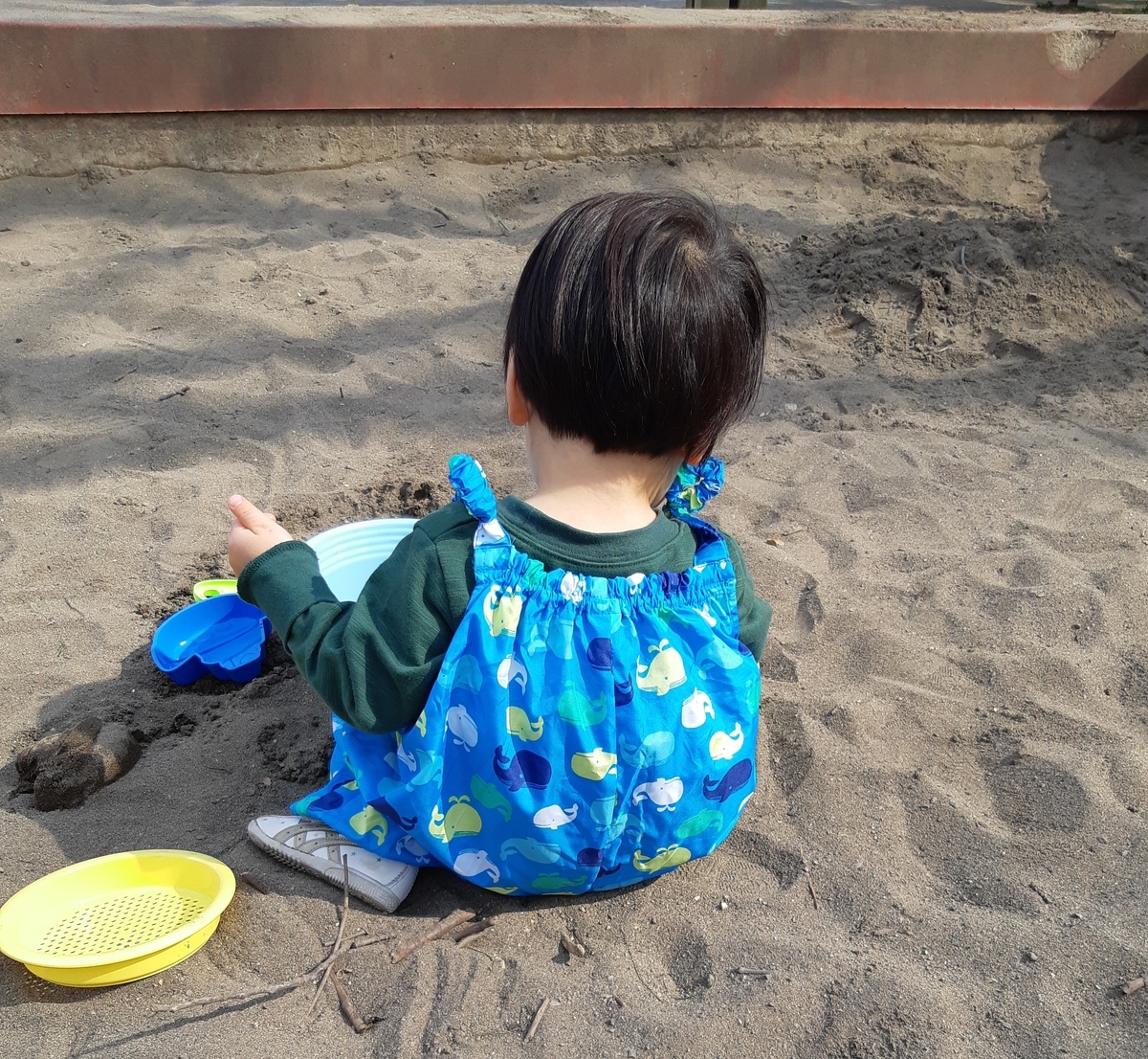f:id:hapitoma:20190318082041j:plain f:id:hapitoma:20190318082041j:plain