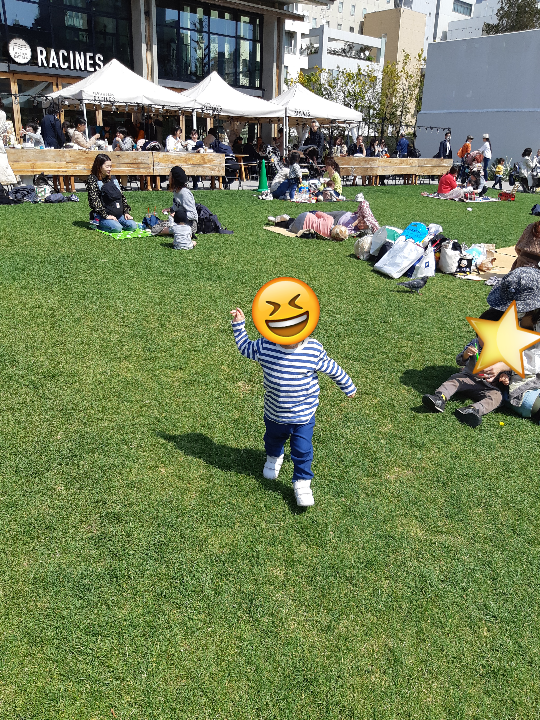 f:id:hapitoma:20190329175612p:plain