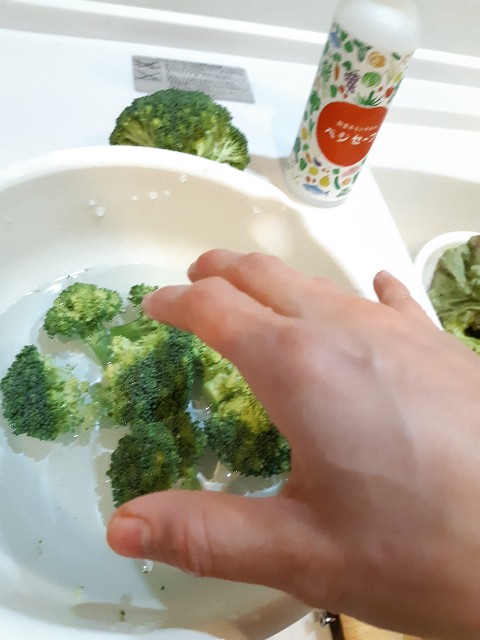 f:id:hapitoma:20200607230918j:image f:id:hapitoma:20200607230918j:image