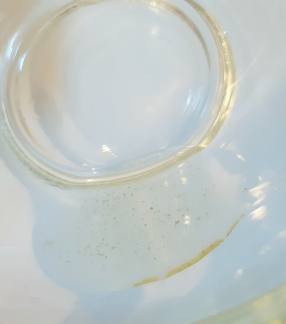 f:id:hapitoma:20200607231446j:image f:id:hapitoma:20200607231446j:image