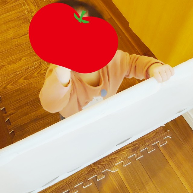 f:id:hapitoma:20210215142037j:image f:id:hapitoma:20210215142037j:image