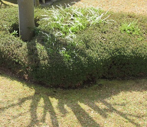 f:id:hapo_mina:20210316165559j:plain