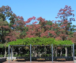 f:id:hapo_mina:20211026152349j:plain