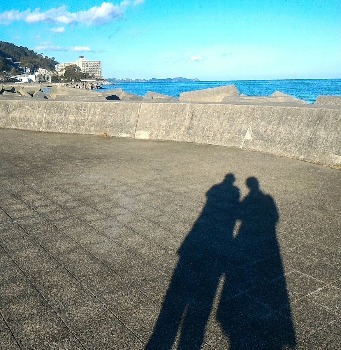 f:id:hapo_mina:20220102171454j:plain