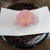 f:id:hapo_mina:20220103144104j:plain