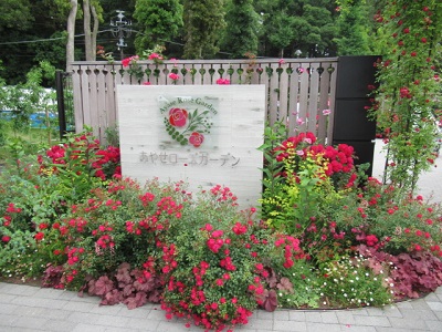 薔薇の魅力を満喫♪ あやせローズガーデン - ノコノオト noko_note