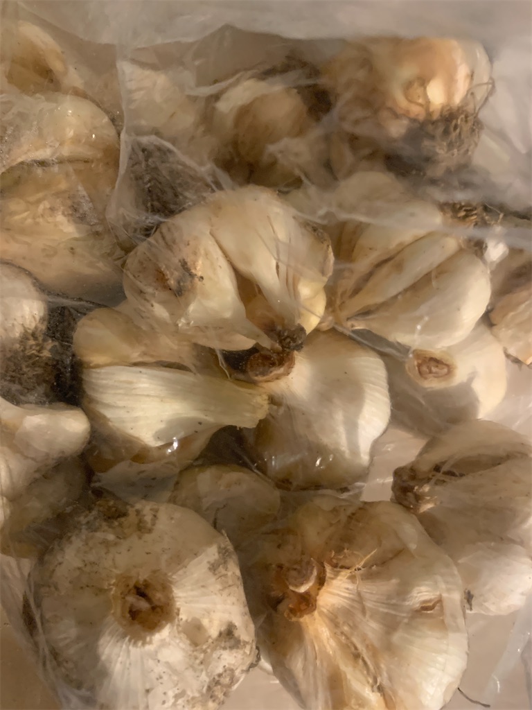 f:id:happa-biyori:20230613192102j:image f:id:happa-biyori:20230613192102j:image