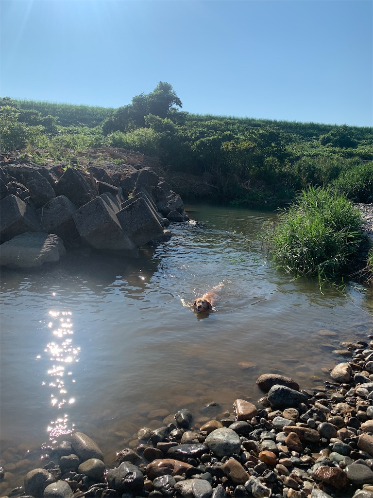 f:id:happa-biyori:20230730193431j:image f:id:happa-biyori:20230730193431j:image