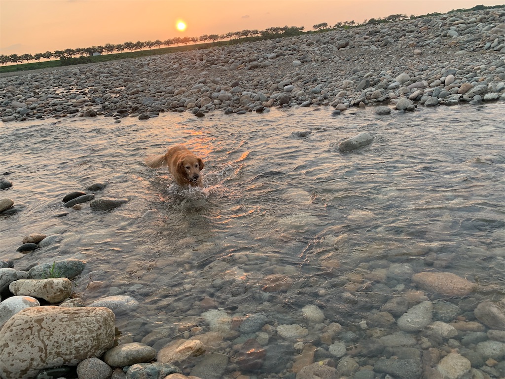 f:id:happa-biyori:20230730193504j:image f:id:happa-biyori:20230730193504j:image