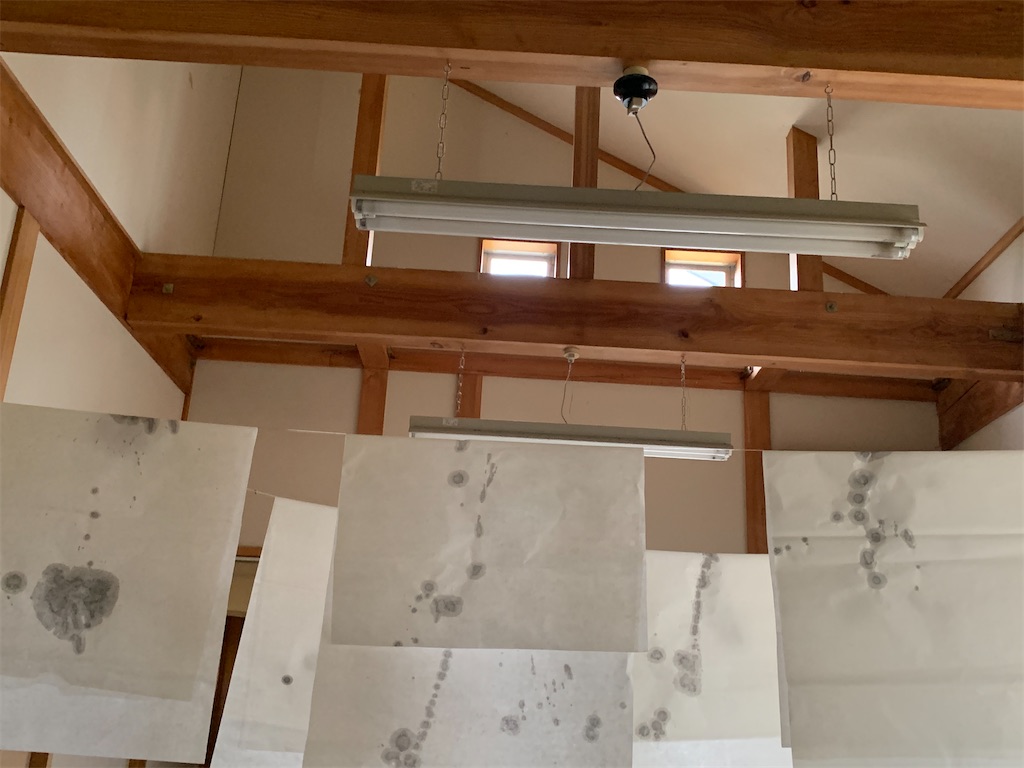 f:id:happa-biyori:20230730193646j:image f:id:happa-biyori:20230730193646j:image