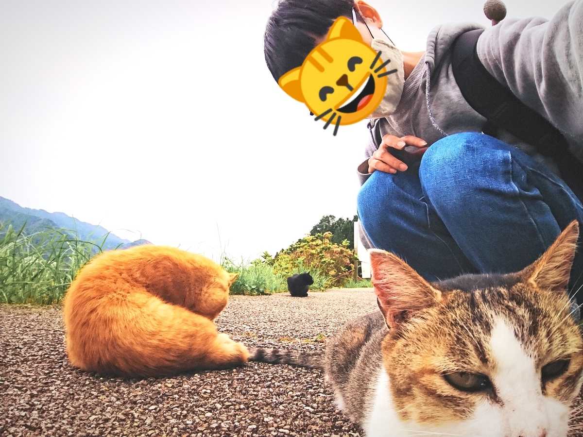 f:id:happha:20201005213043j:plain f:id:happha:20201005213043j:plain