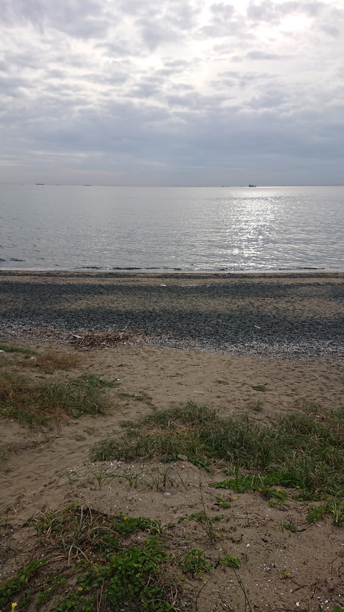 f:id:happha:20201101215254j:plain f:id:happha:20201101215254j:plain