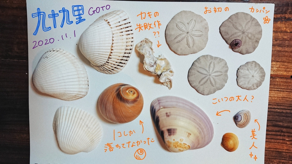f:id:happha:20201107211121j:plain f:id:happha:20201107211121j:plain