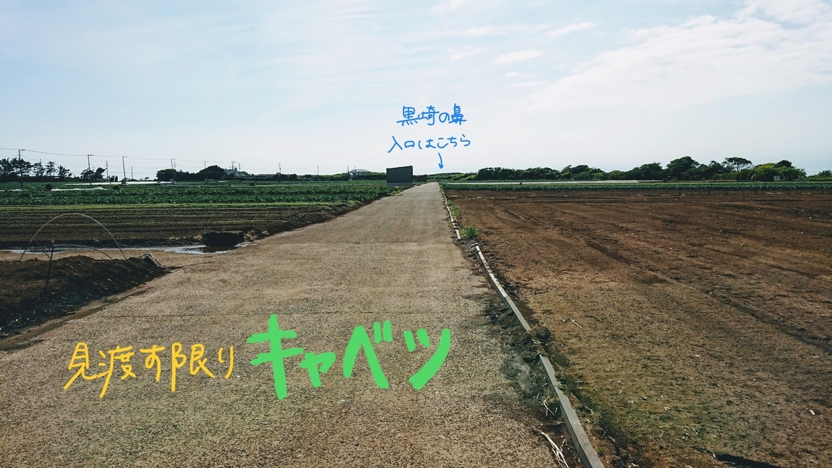 f:id:happha:20210515210241j:plain