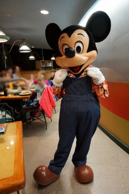 f:id:happiest_holidays:20180115233836j:plain f:id:happiest_holidays:20180115233836j:plain