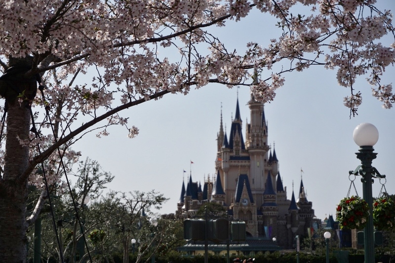 f:id:happiest_holidays:20180331183743j:plain