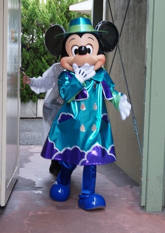 f:id:happiest_holidays:20180513233916j:plain f:id:happiest_holidays:20180513233916j:plain